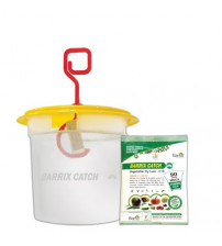 Barrix Catch Vegetable Fly Trap Set